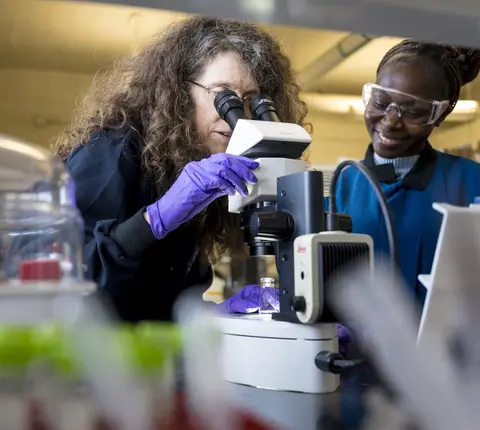OSU students looking through a microscope