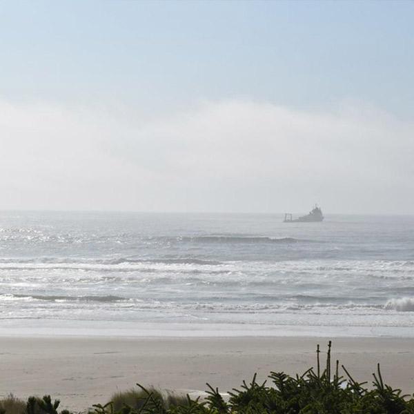 View of the ocean from the beach with foliage in the foreground and the Seacor Lee in the background